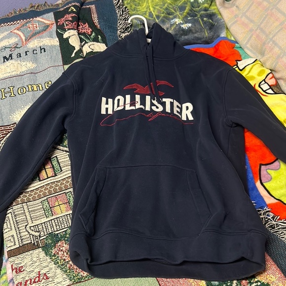 HOLLISTER HOODIE - Picture 1 of 3